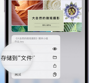 西秀apple维修中心分享iPhone文件应用中存储和找到下载文件