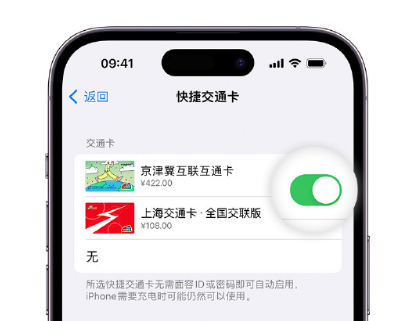 西秀apple维修点分享iPhone上更换Apple Pay快捷交通卡手绘卡面 