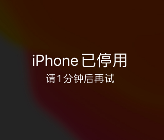 西秀苹果手机维修分享:iPhone 显示“不可用”或“已停用”怎么办？还能保留数据吗？ 