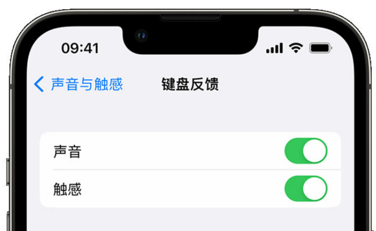 西秀苹果手机维修分享iPhone 14触感键盘使用方法 