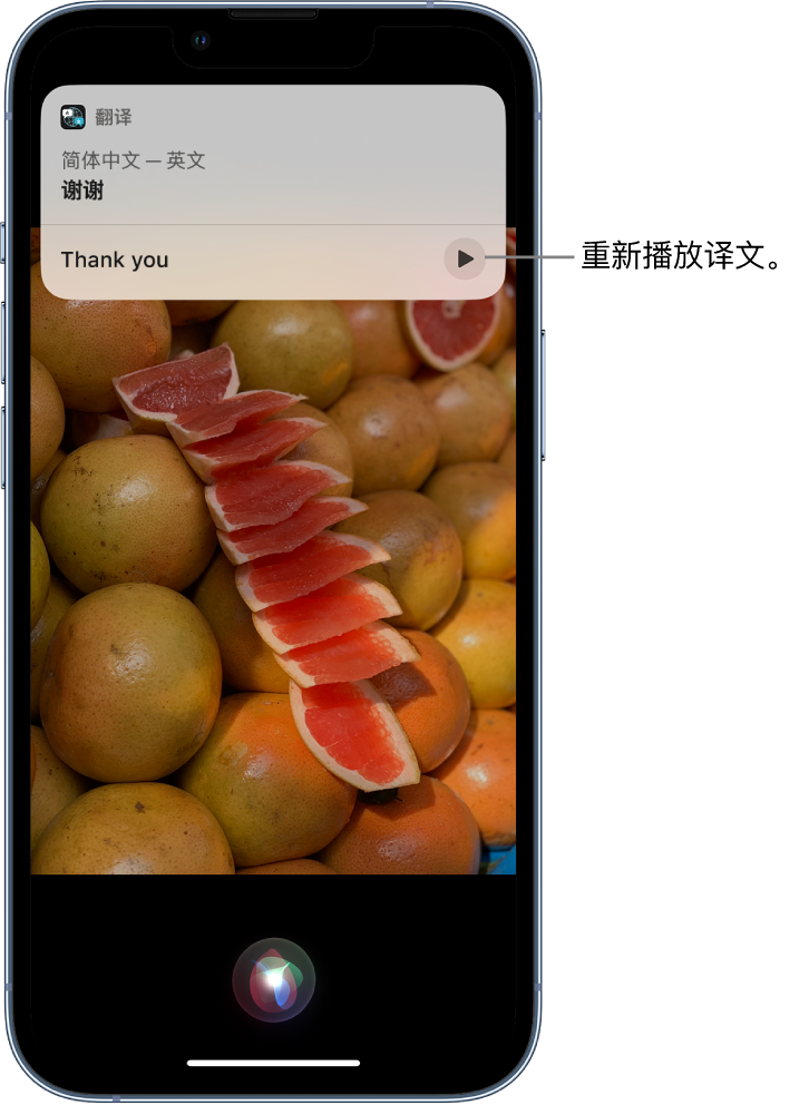 西秀苹果14维修分享 iPhone 14 机型中使用 Siri：了解 Siri 能帮你做什么 