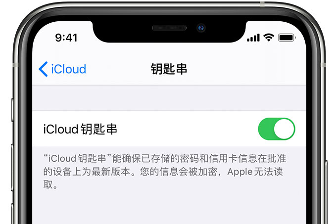 西秀苹果手机维修分享在 iPhone 上开启 iCloud 钥匙串之后会储存哪些信息 