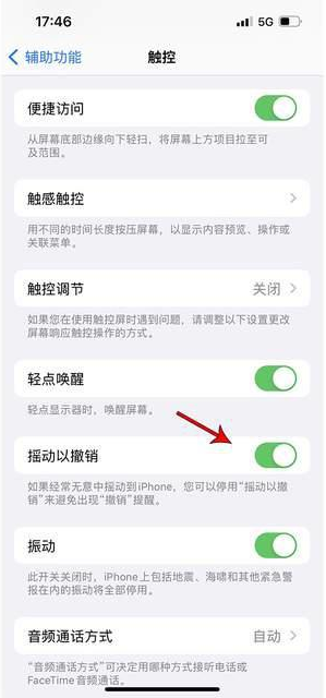 西秀苹果手机维修分享iPhone手机如何设置摇一摇删除文字 